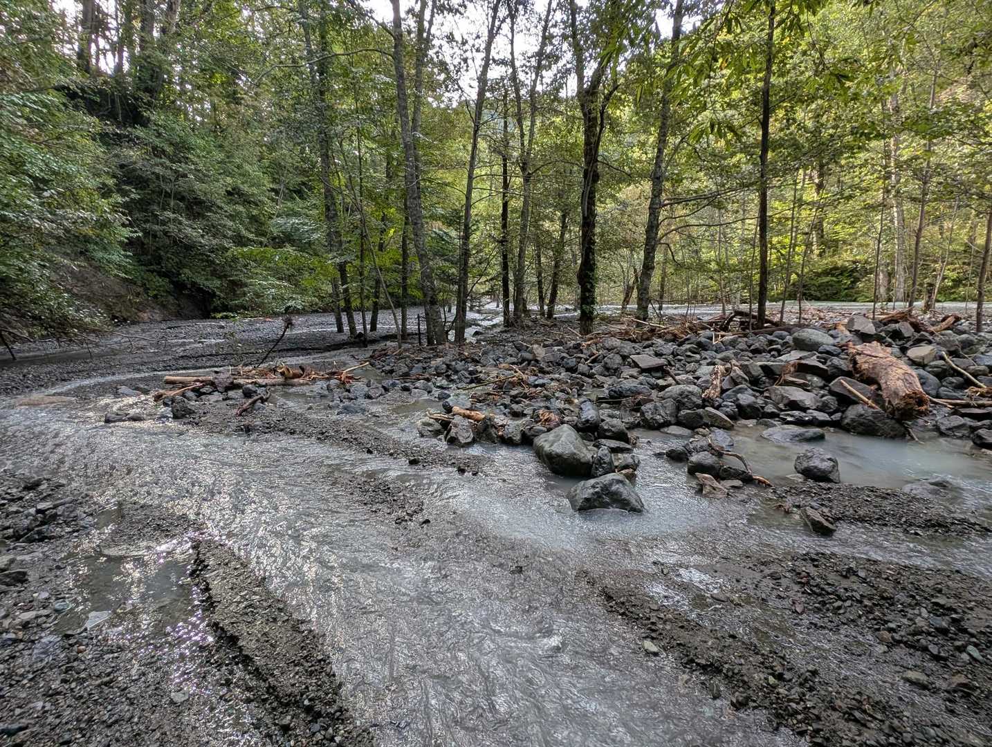 林道を1km走ると、少し体もほぐれてきた。

登山口を通過して、沢へ出る。

今日も水量は多く、広がる沢には、勢いある幾筋もの流れがあった。