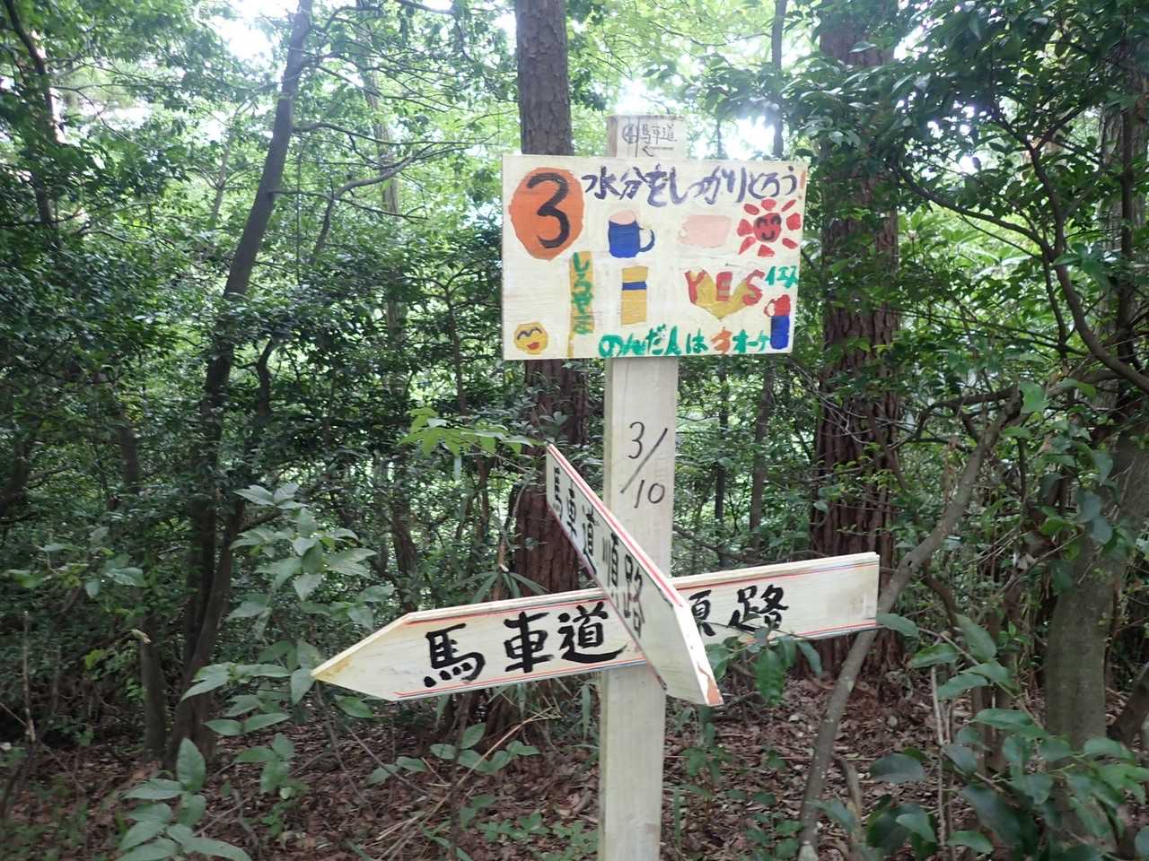 案内がたくさんあります😌