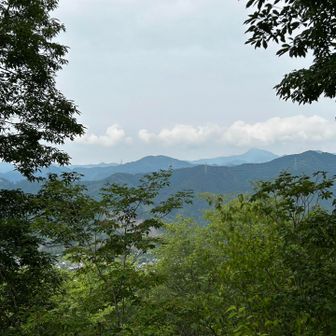 西に少し眺望
右奥は大岳山かな