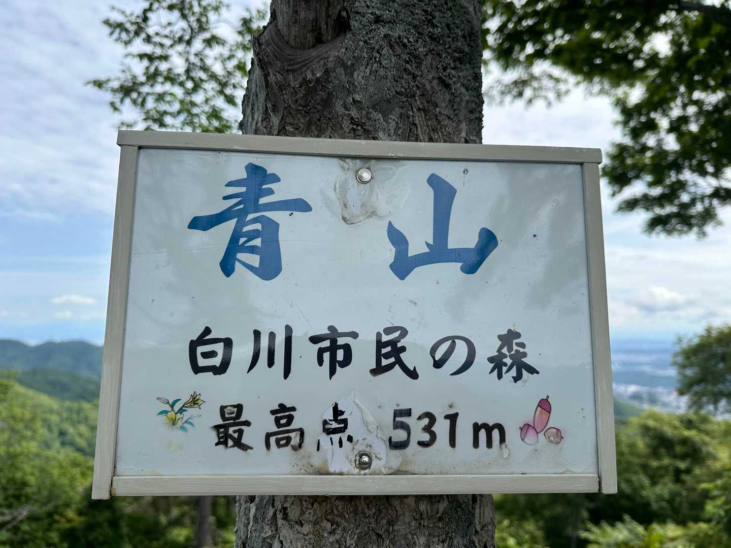 青山 往復コースの写真
