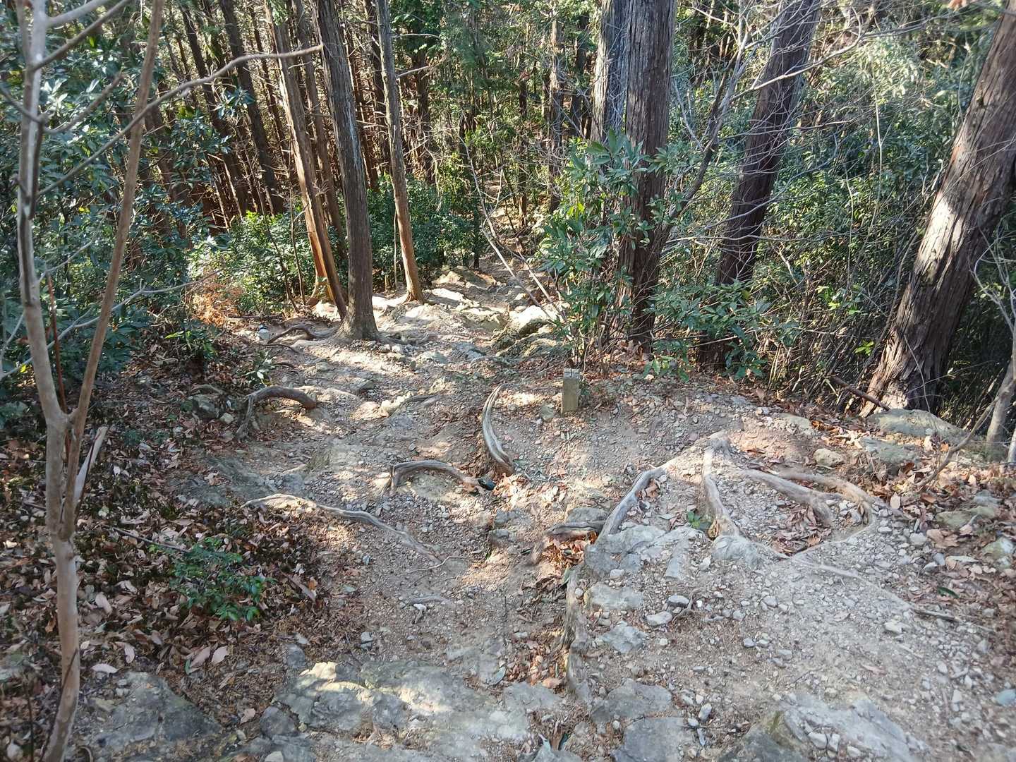 意外にザレの急坂だったりなかなか難易度高いのです
不動沢ノ頭までは妻の体力に不安を感じたので途中で引き返してきました