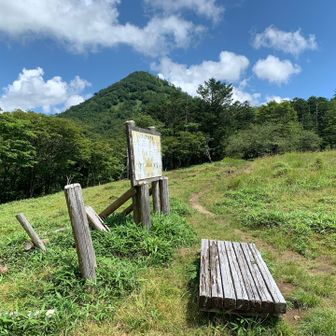 ベンチもたくさんあったけど、すでに予定時間をオーバーしていたので、ゆっくり休憩なんてしていられない😂