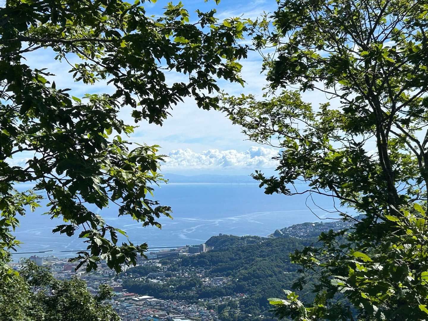 新緑と海と雲のコラボ！最高＼(^o^)／