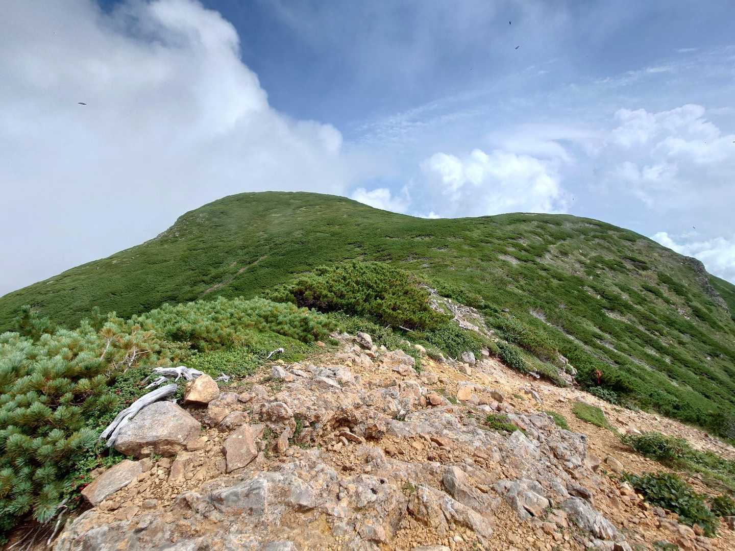 サシルイ岳ピーク。
ここもすぐ着きそうだけど、鮮やかにスルー(笑)