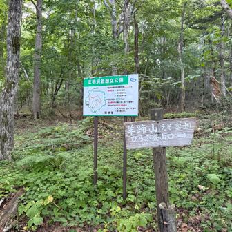 🚶‍♀️‍➡️楽しみ楽しみ😊
