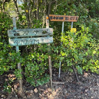 百々ヶ峰の山頂名板