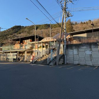 やっとゴール！
なかなか手強かった🦖