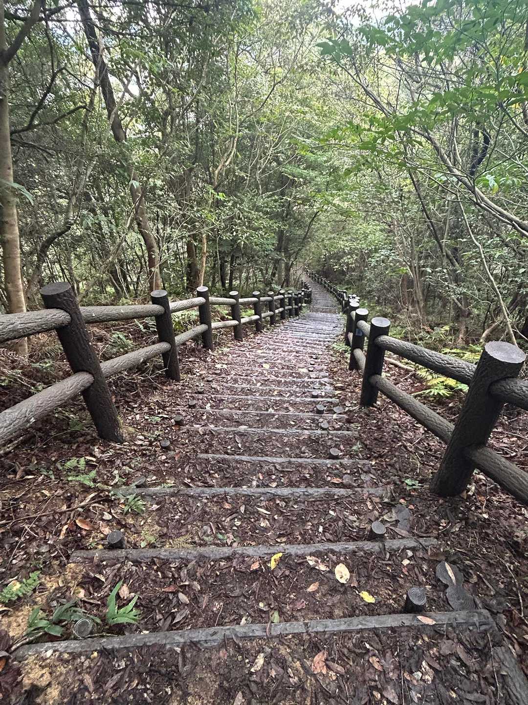階段をくだります。