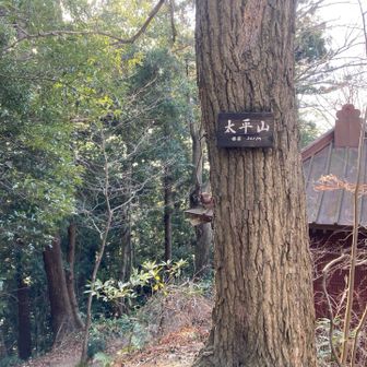 浅間神社の裏が太平山山頂