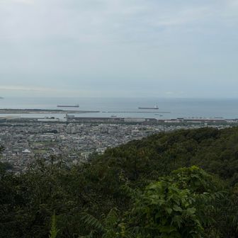 和歌山港⚓️