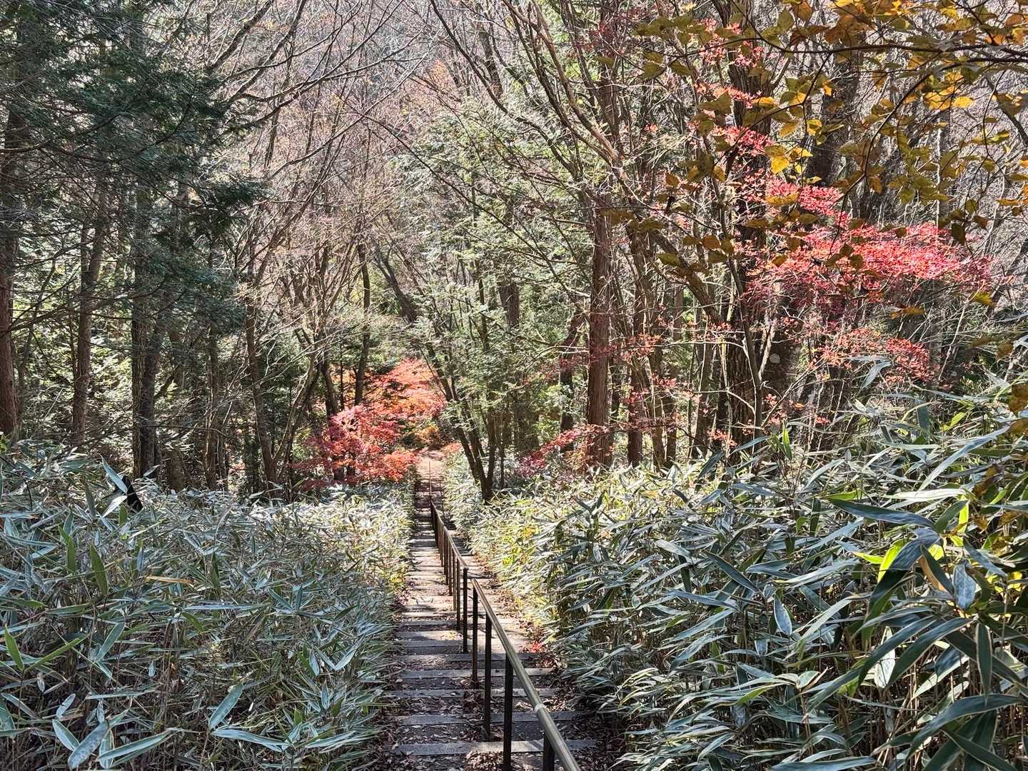 石割山（石割神社駐車場）の写真