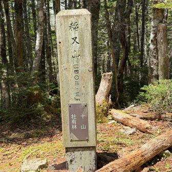 未踏、稲又山。
とても静かな山頂でした(^^)
思えばかなり久しぶりの新規獲得ピーク✨年末から10座くらいしか増えていないような😅