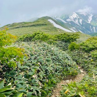ここから飯豊オアシス小屋目指します👉