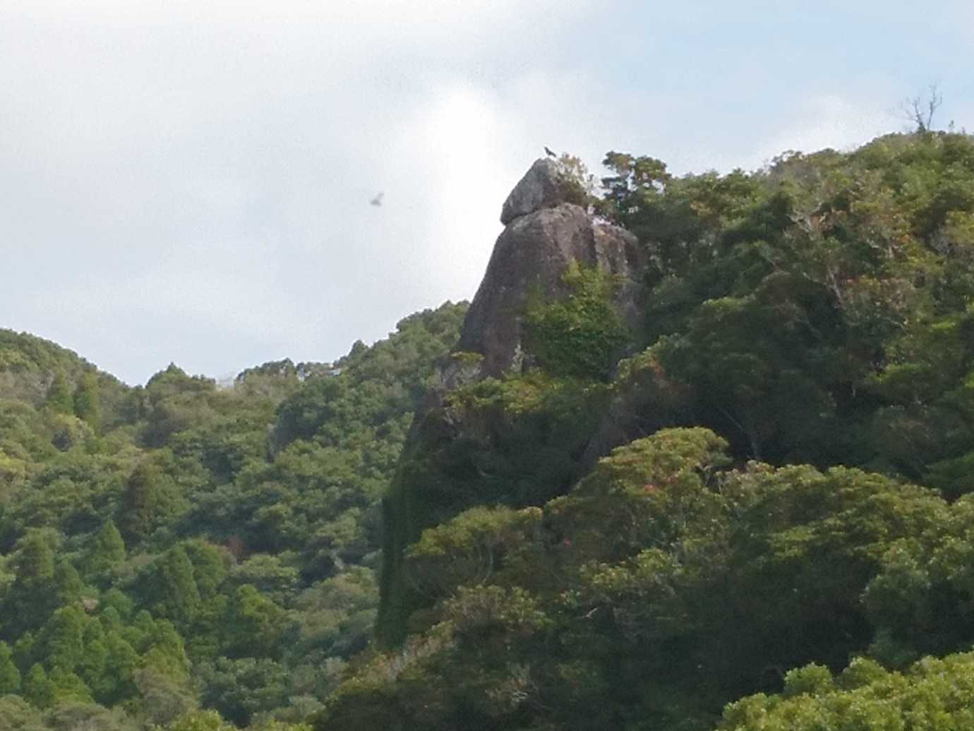 西郷どん岩が見えた。