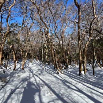 サクラグチまで戻り、カップラーメン食べてまったりしてたM美と合流😁
お腹空いたー💦　　やっと🍙😋