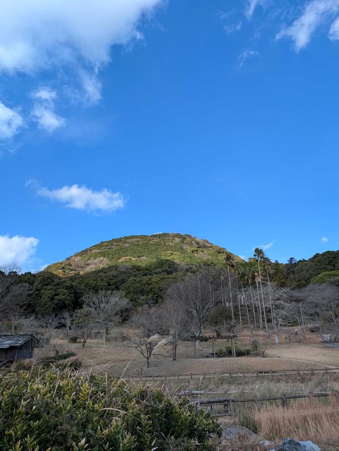 無事帰還。見上げて。
麓は、強風で震えあがりました。