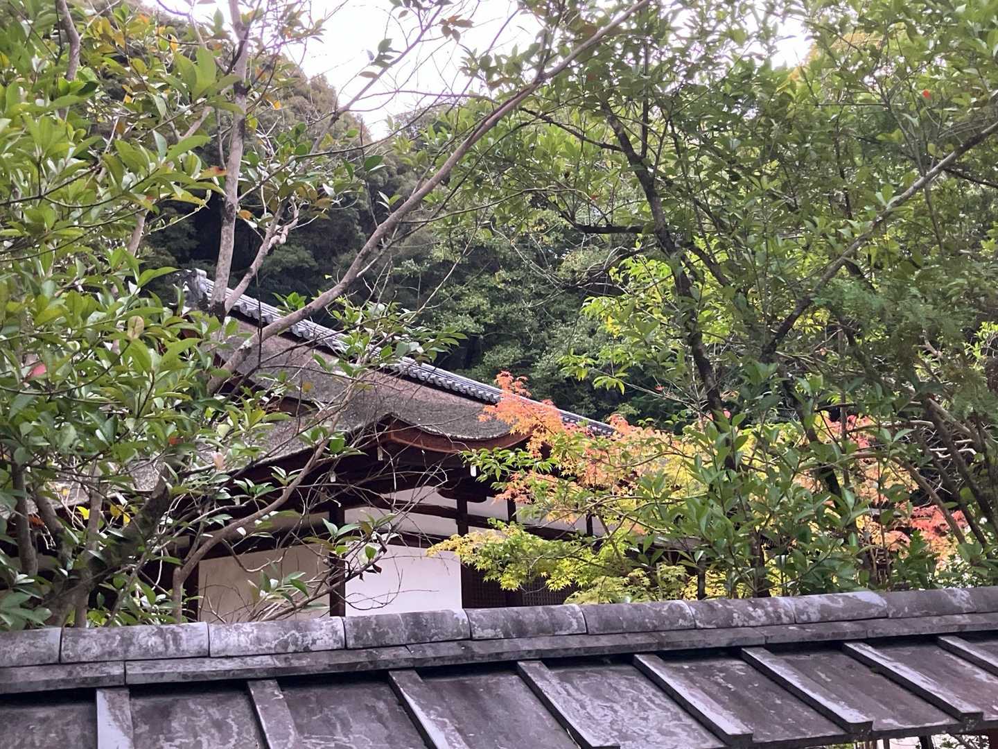 宇治上さん