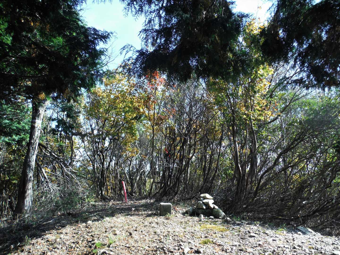 孫持山（点標大師走）573.9ｍ・三等三角点。