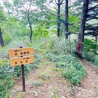 下りは水呑場へ戻らず立石へ向かいます