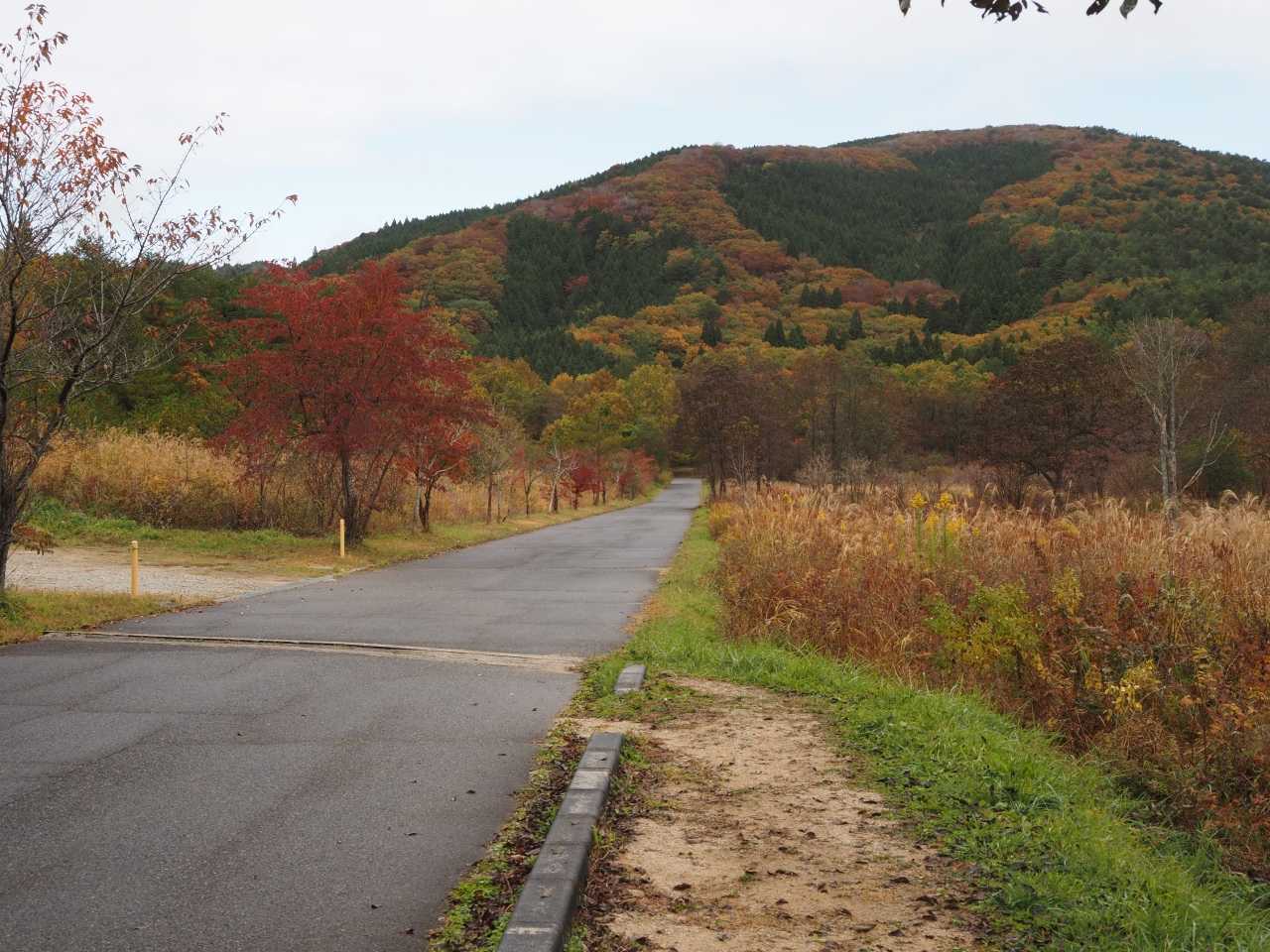 臥龍山登山口-臥龍山-掛頭山 縦走コースの写真