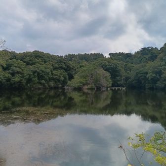 白旗池にゃ