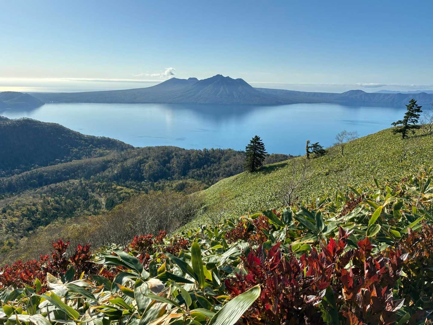 イチャンコッペ山 往復コース | 支笏湖が最も美しく見える展望台への写真