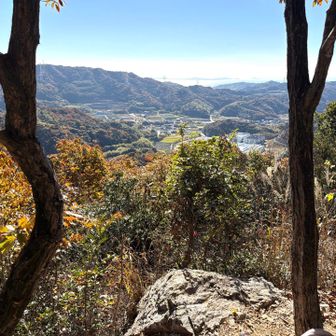 富美六にてランチ
風もなく、暖かかったです

戻る時に、ヨタヨタのオオスズメバチ🐝が道の真ん中にいたけど、残り少ない命と、そのまま通りすぎました
季節は、終わったね
