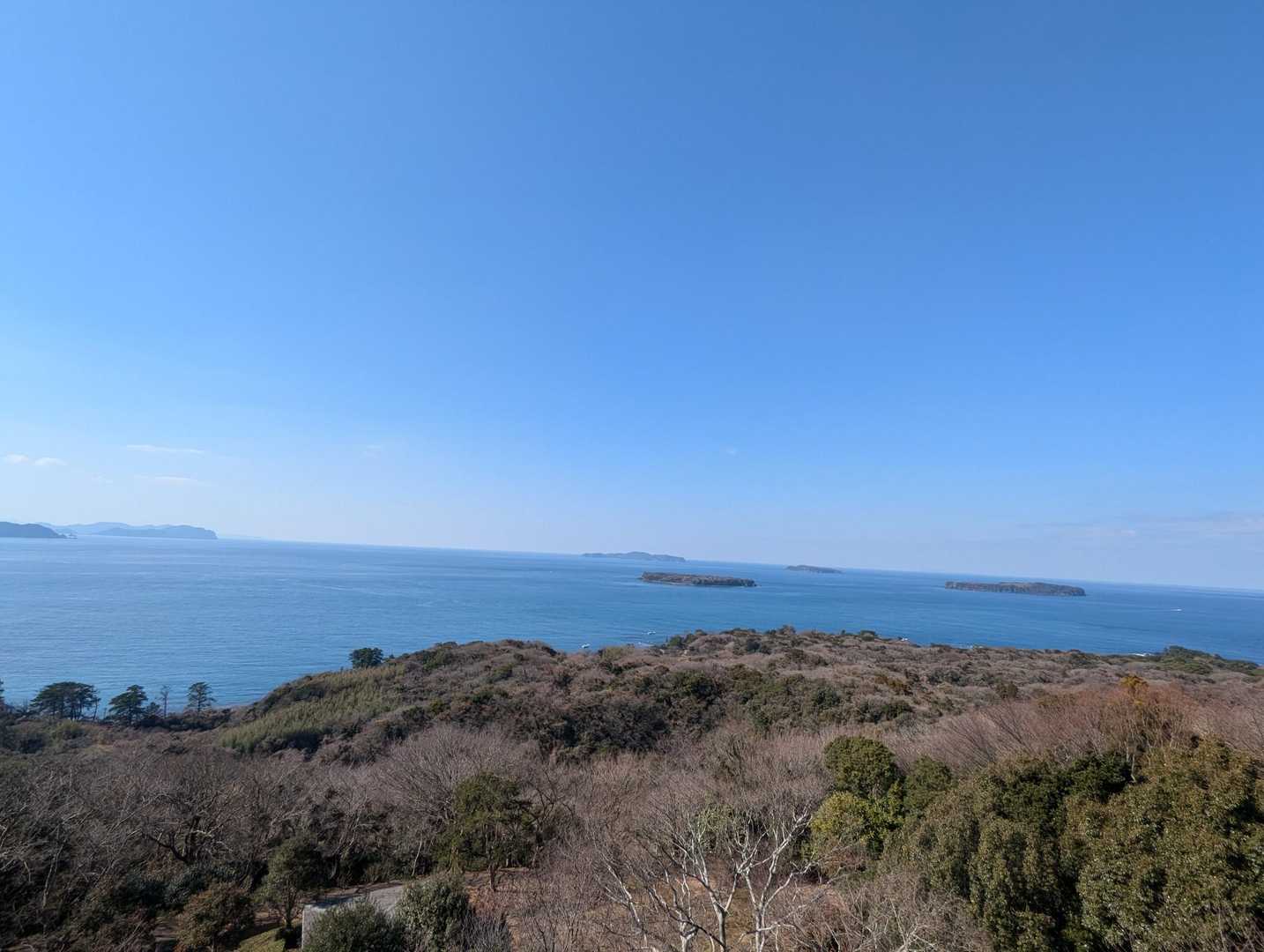 久しぶりに来ました