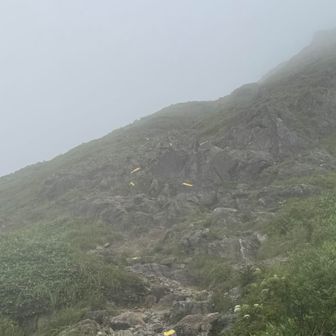 黄色のペンキが目立って助かる。