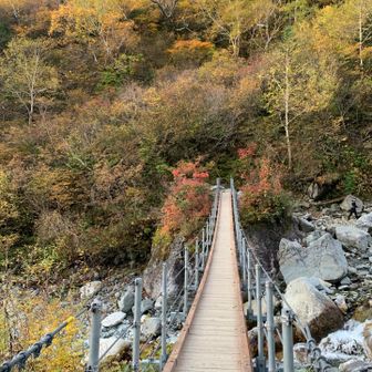 まだひと気少ない本谷橋。