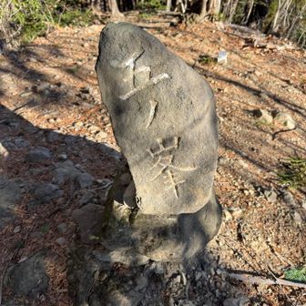 樹林帯の尾根歩きが続き、最後の五ノ峰へ。