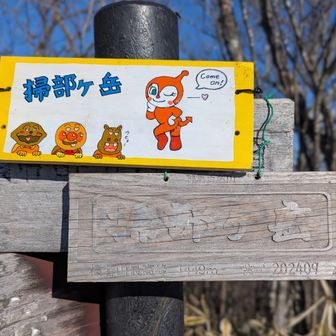 ドキンちゃんカワイイ！
カモ〜ン！