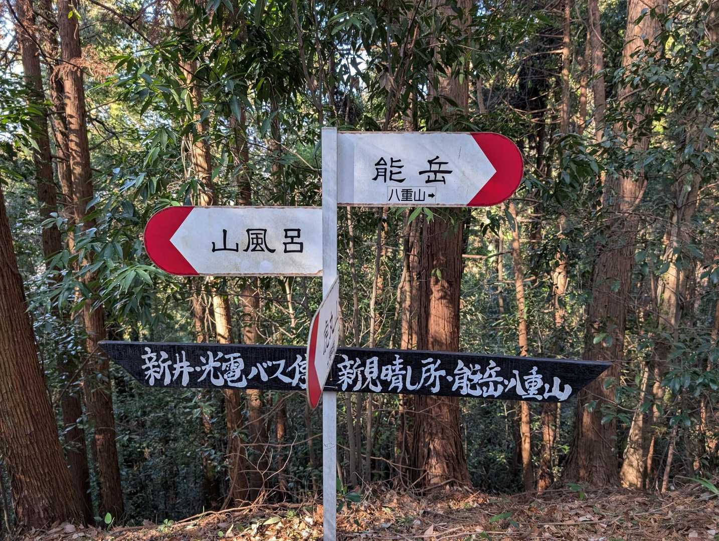 すごい達筆な新しい案内板が👀‼️