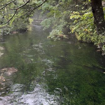 綺麗なお水