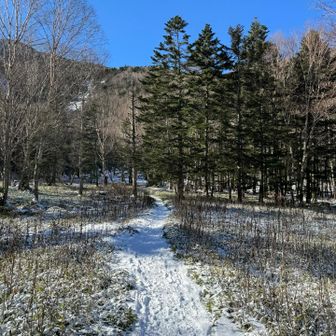 最初から雪
雪、苦手なんよなぁ