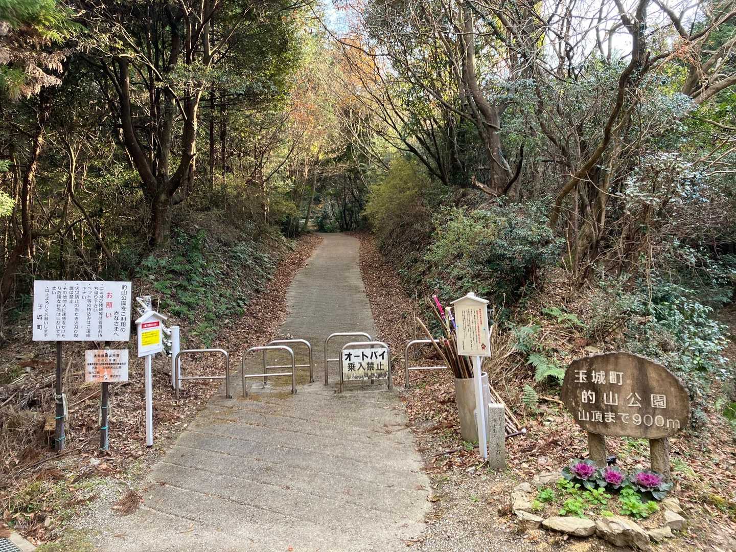 的山 往復コースの写真