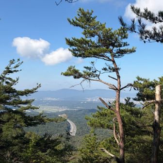 眼下に新名神