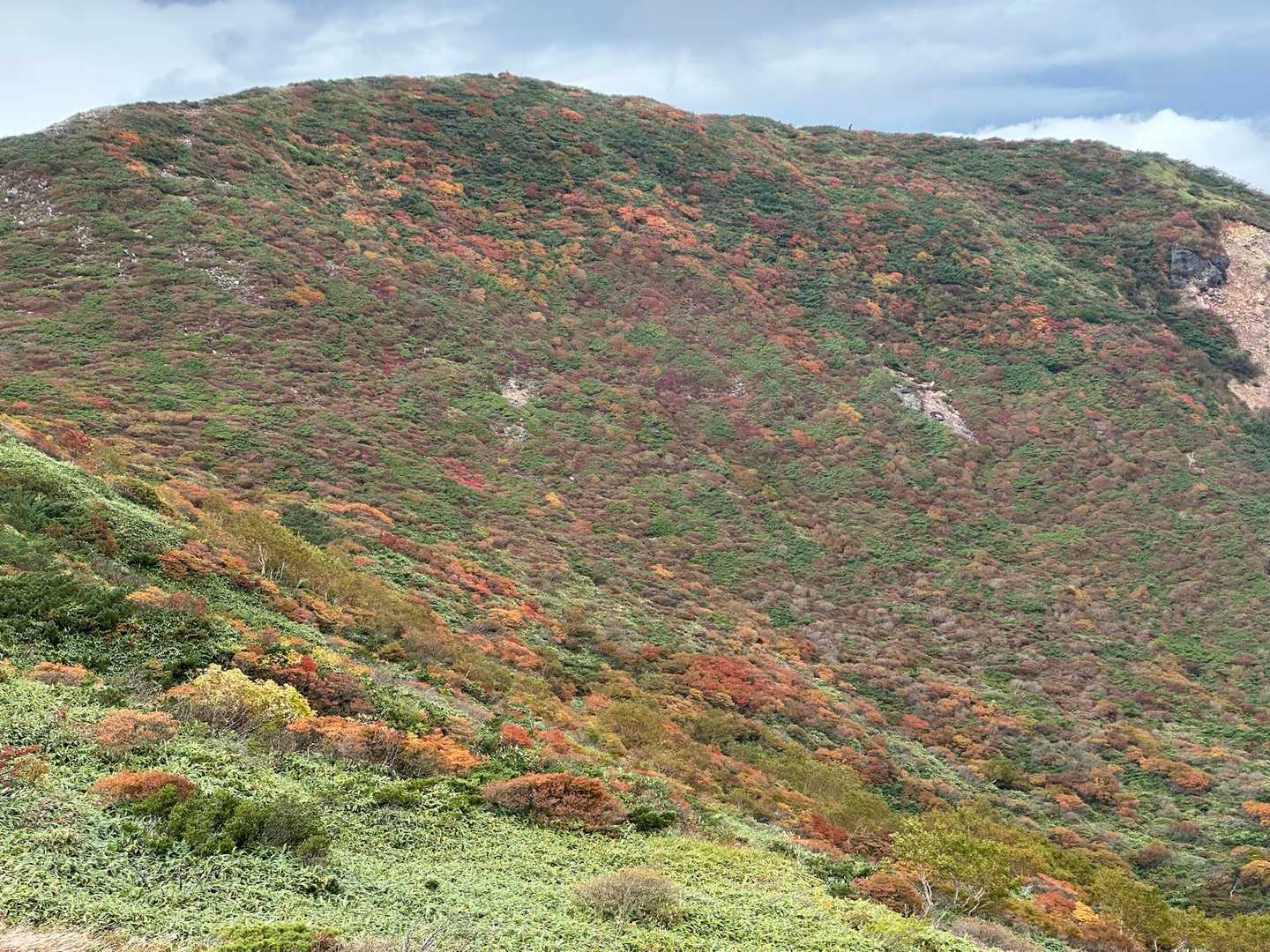 朝日の肩から見た紅葉🍁
あと2週間もすれば見頃だそう✨