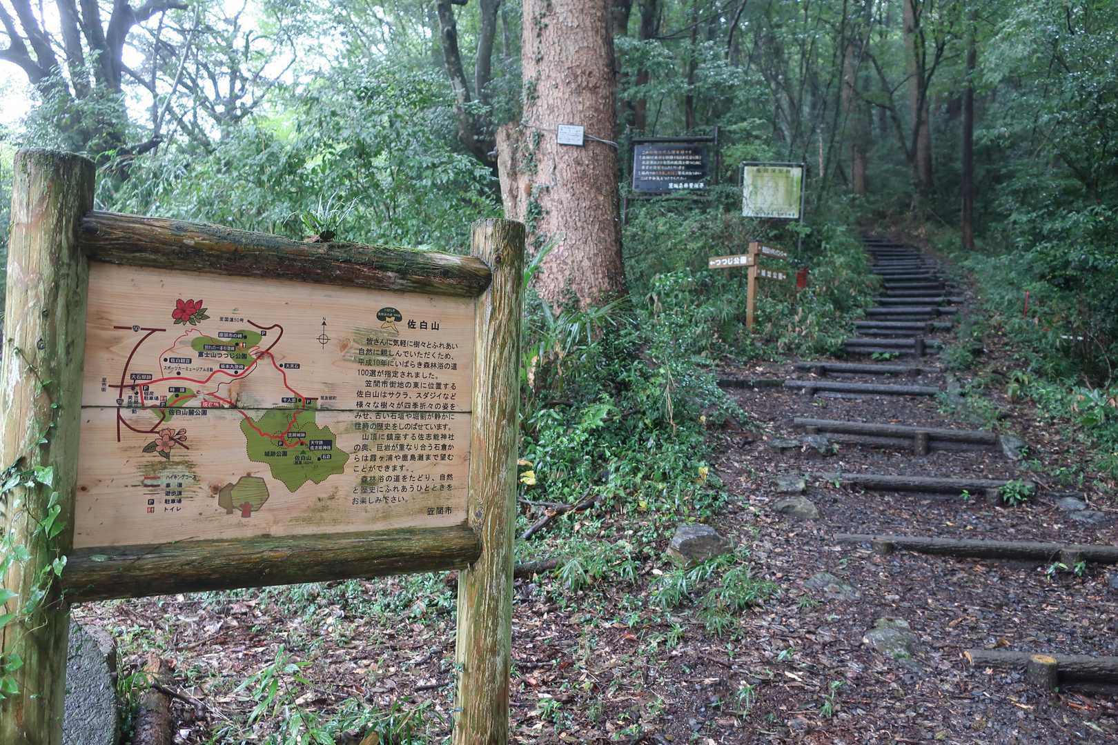 佐白山へのハイキングコース。よく整備されていました。
