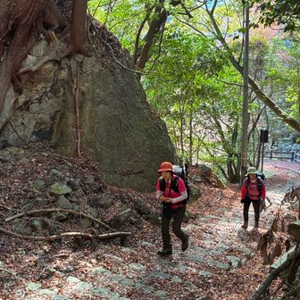 鈴鹿峠への東海道を登る