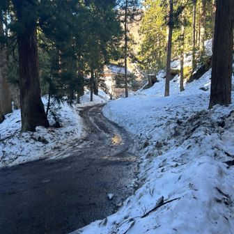 参道にでた。奥が慈光寺