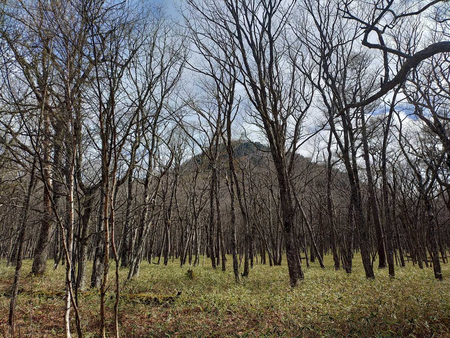 下山して…高山を望む😌✨