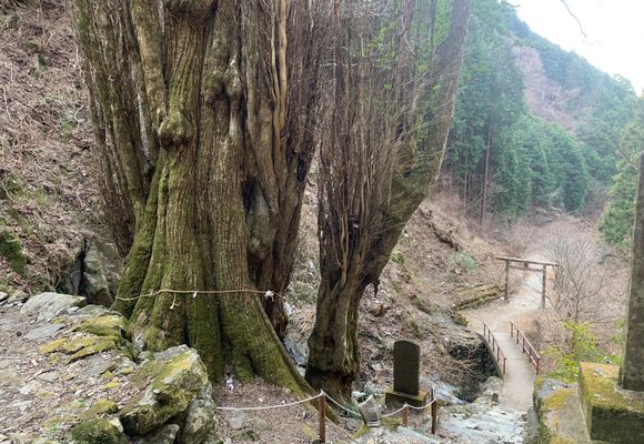 ムスカ大佐｜東京都の登山記録 | YAMAP / ヤマップ