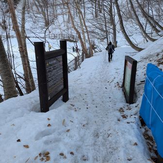あんなに苦労した急坂も、下りはあっという間に下山
病気で断念してから、二年越しの焼岳リベンジほ感慨深いものになりました🤗