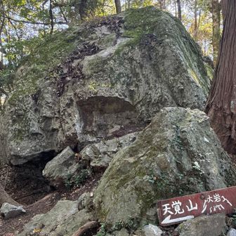 でかすぎる