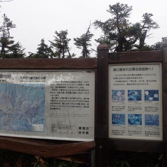 （傘を片手にスタートすっぺ☂️）

(  ･ᴗ･ )⚐⚑黒谷地湿原スタート‼️