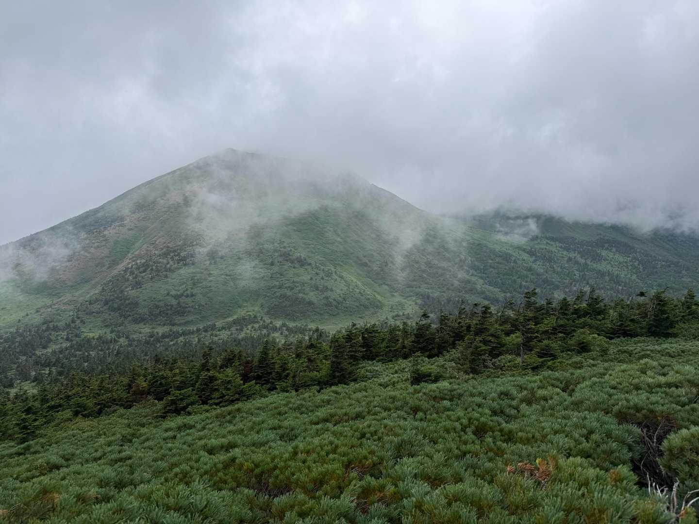 八甲田大岳登山口-小岳-高田大岳 往復コースの写真