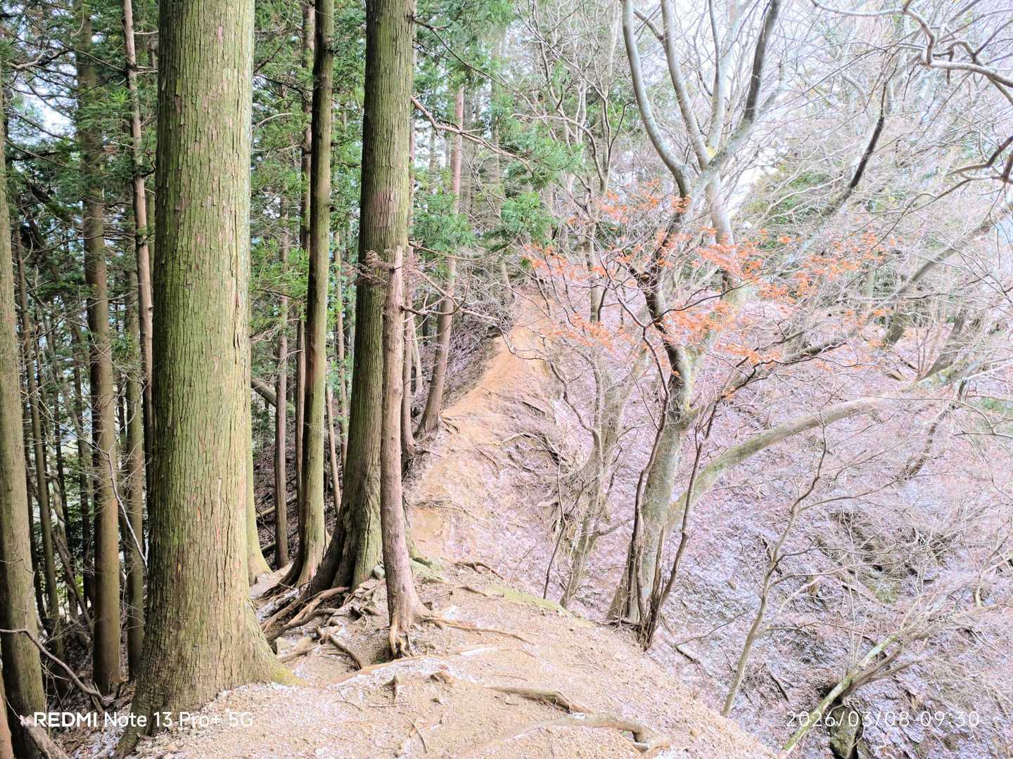 痩せおねー。
ちと行ってみよ🎶
ズルッズルですꉂ🤣𐤔