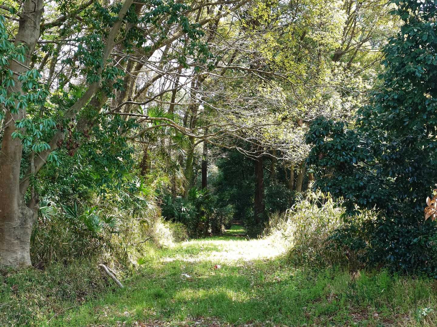 続いて伏見桃山の街へ向います！