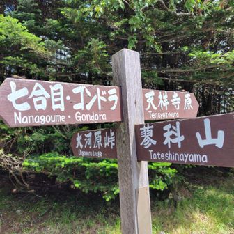 蓼科山荘は昔から四差路になっている交通の要所✨蓼科山頂↗️七合目御泉水方面↘️の他に深田久弥が親湯に下った際に経由したであろう天祥寺原方面↘️ともう一つ大河原峠方面↘️への分岐ポイントになっている💡
